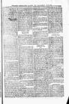 St. Christopher Gazette Friday 22 November 1872 Page 3