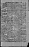 St. Christopher Gazette Friday 13 December 1872 Page 3