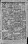 St. Christopher Gazette Friday 03 January 1873 Page 3