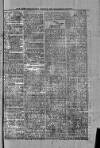 St. Christopher Gazette Friday 17 January 1873 Page 3