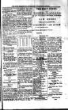 St. Christopher Gazette Friday 02 April 1875 Page 3