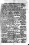 St. Christopher Gazette Friday 19 October 1877 Page 3