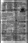 St. Christopher Gazette Friday 12 April 1878 Page 3