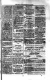 St. Christopher Gazette Friday 01 February 1884 Page 3