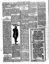 St. Kitts Daily Express Tuesday 01 February 1910 Page 3