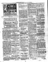 St. Kitts Daily Express Tuesday 20 December 1910 Page 3