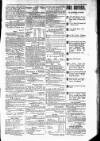 Budget (Jamaica) Wednesday 16 May 1877 Page 3