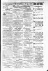 Budget (Jamaica) Saturday 26 May 1877 Page 3