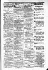 Budget (Jamaica) Monday 28 May 1877 Page 3