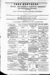 Budget (Jamaica) Friday 01 June 1877 Page 4