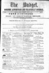 Budget (Jamaica) Thursday 14 June 1877 Page 1