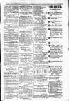 Budget (Jamaica) Thursday 12 July 1877 Page 3