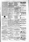 Budget (Jamaica) Tuesday 17 July 1877 Page 3