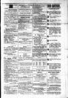 Budget (Jamaica) Saturday 21 July 1877 Page 3