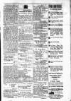 Budget (Jamaica) Tuesday 24 July 1877 Page 3