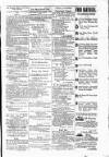 Budget (Jamaica) Thursday 02 August 1877 Page 3