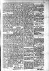 Budget (Jamaica) Tuesday 26 February 1878 Page 3