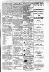 Budget (Jamaica) Friday 01 March 1878 Page 3