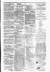 Budget (Jamaica) Friday 03 May 1878 Page 3