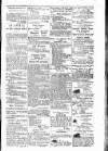 Budget (Jamaica) Saturday 12 October 1878 Page 3