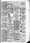 Budget (Jamaica) Tuesday 04 February 1879 Page 3