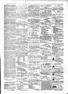 Budget (Jamaica) Thursday 08 January 1880 Page 3