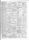 Budget (Jamaica) Monday 12 January 1880 Page 3