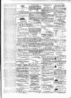 Budget (Jamaica) Wednesday 28 January 1880 Page 3