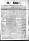 Budget (Jamaica) Tuesday 03 February 1880 Page 1