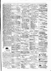 Budget (Jamaica) Saturday 21 February 1880 Page 2