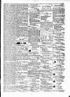 Budget (Jamaica) Friday 24 September 1880 Page 3