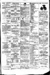 Budget (Jamaica) Saturday 19 June 1886 Page 3