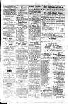 Budget (Jamaica) Wednesday 29 February 1888 Page 3