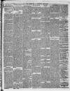 Birkenhead & Cheshire Advertiser Saturday 15 April 1871 Page 3