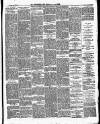 Birkenhead & Cheshire Advertiser Saturday 20 January 1877 Page 3