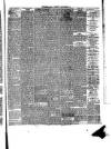 Birkenhead & Cheshire Advertiser Wednesday 14 January 1880 Page 3