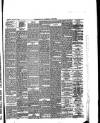 Birkenhead & Cheshire Advertiser Saturday 17 January 1880 Page 3