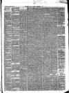 Birkenhead & Cheshire Advertiser Saturday 20 March 1880 Page 3