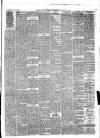 Birkenhead & Cheshire Advertiser Wednesday 12 May 1880 Page 3