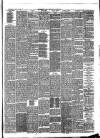 Birkenhead & Cheshire Advertiser Wednesday 14 July 1880 Page 3