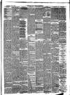 Birkenhead & Cheshire Advertiser Wednesday 21 July 1880 Page 3