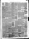 Birkenhead & Cheshire Advertiser Wednesday 17 January 1883 Page 3