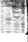 Birkenhead & Cheshire Advertiser Saturday 18 July 1885 Page 1