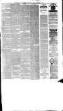 Birkenhead & Cheshire Advertiser Saturday 05 December 1885 Page 7