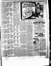 Birkenhead & Cheshire Advertiser Saturday 01 June 1889 Page 7