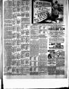 Birkenhead & Cheshire Advertiser Saturday 22 June 1889 Page 7