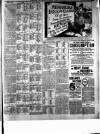 Birkenhead & Cheshire Advertiser Saturday 29 June 1889 Page 7