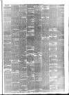 Bootle Times Saturday 14 February 1880 Page 3