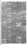Bristol Observer Saturday 20 January 1877 Page 5