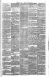 Bristol Observer Saturday 24 March 1877 Page 3